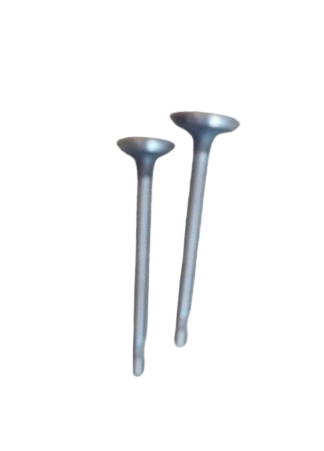 S-PE-INEXV-EY20  VALVE