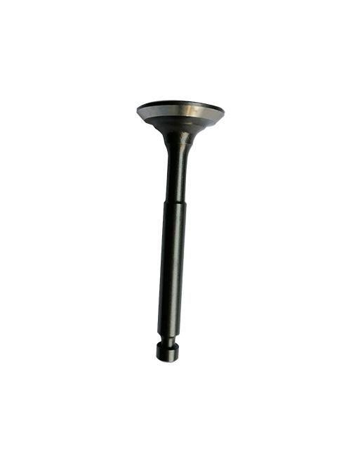 GEI30001-SP-12-27 INVERTED GASOLINE VALVE EXHAUST